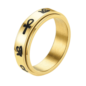 Stainless Steel Gold Coloured and Black Fidget Ring