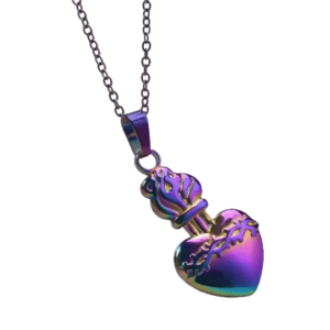 Rainbow Stainless Steel Heart of Jesus Pendant on a Rainbow Necklace