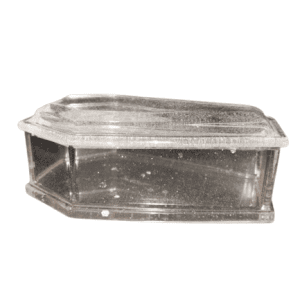 Clear and Purple Coffin Shaped Jewellery Trinket Holder